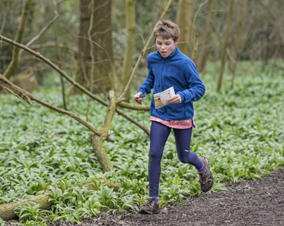 Boy_Orienteering_by_Neil_Harrison.jpg